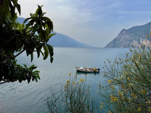 Alloggio Turistico Molu Appartement Gavazzo Nuova Buitenkant foto